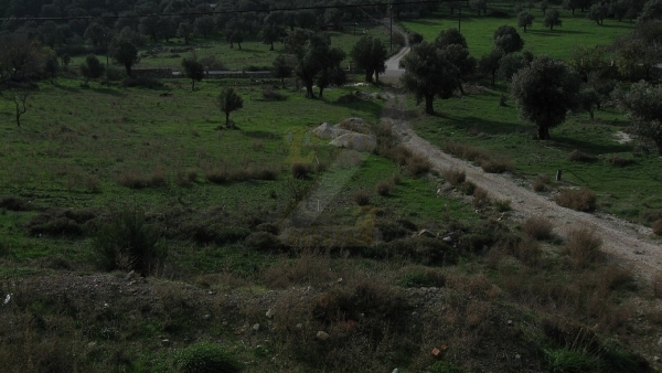Πωλούνται δύο (2) διαμερίσματα στην Χαραμίδα Λέσβου.