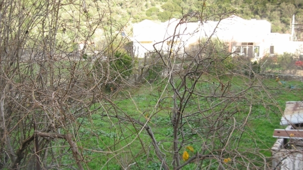 Πωλείται οικόπεδο 300 μ. μακριά από την θάλασσα, στον Άγιο Ισίδωρο Λέσβου.