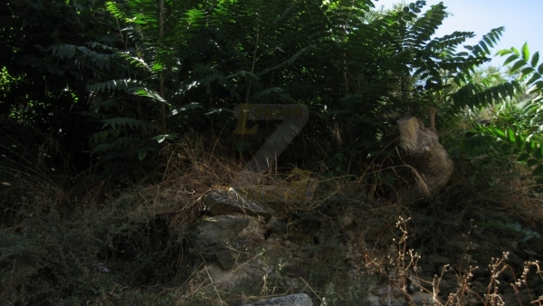 Πωλείται οικία στο Πλωμάρι Λέσβου.